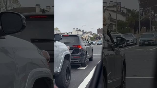 ПОДДЕРЖИТЕ НАШ КАНАЛ #юмор #камеди #прикол #фейл #фан #комедия #пранк #ржак