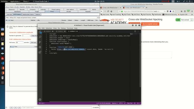 Cross site WebSocket hijacking (Video solution) смотреть онлайн
