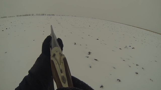 Полювання на зайця 2019р Охота на зайца смотреть онлайн