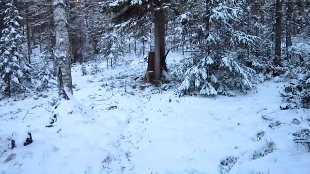 Настоящий таежник. Промысловая охота и рыбалка в Сибири. смотреть онлайн