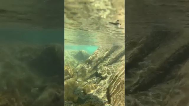 Водопад золотоносец смотреть онлайн