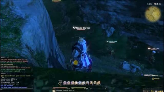 Final Fantasy XIV 1.0 Chocobo Deathrace смотреть онлайн