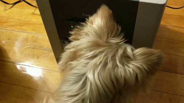 CP9550DW смотреть онлайн