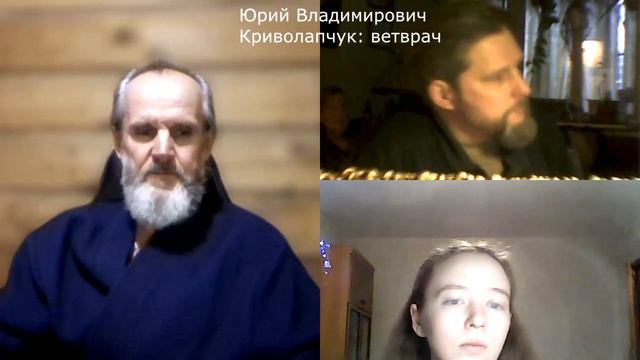 Как избежать агрессии собаки в семье? (часть 1) смотреть онлайн
