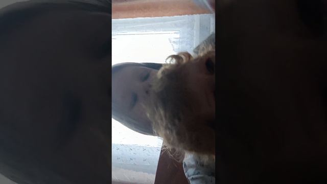 Извините за такой ужасное качество потому что я очень сильно взбесилась смотреть онлайн