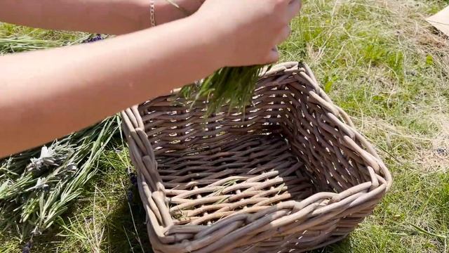 Уход за волосами с использованием природных средств