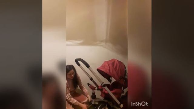 Обзор велосипеда-коляски Farfello смотреть онлайн