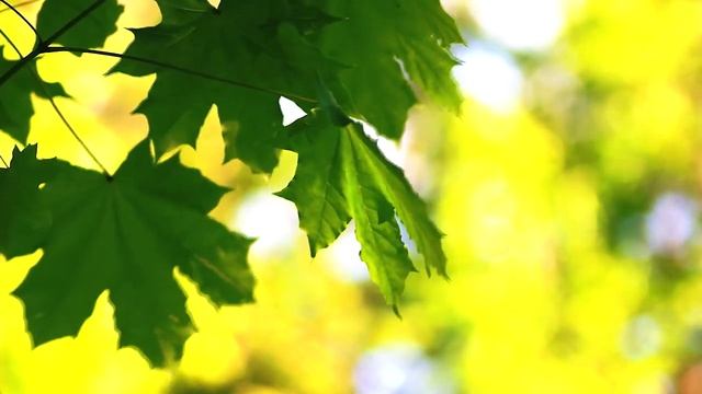 "Снова выплыли годы из мрака" Сергей Есенин, читает Сергей Ромашкин смотреть онлайн