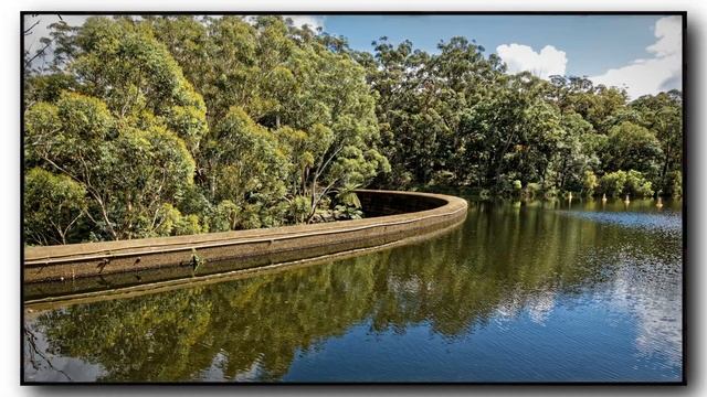 Sony ZV-1 is also great for Photography. Check out these photos смотреть онлайн