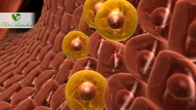Чудо смесь! Вот как пить воду с куркумой, чтобы она изменила организм человека смотреть онлайн