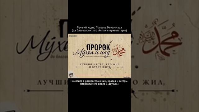 хадис смотреть онлайн