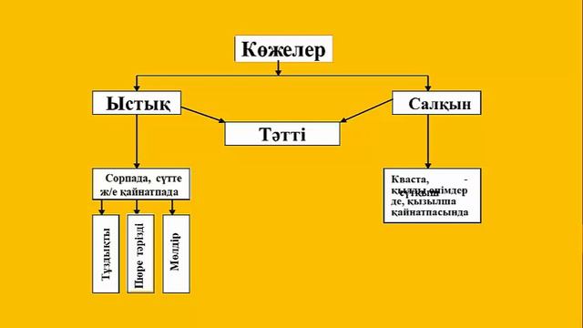 Видео дәріс: Көжелердің жіктелуі. Рассольник көжесі. смотреть онлайн