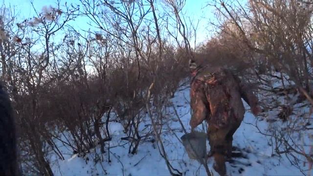 Камышовый заяц))) Охота на зайца 2021. Чуток подкормили фазанов. смотреть онлайн