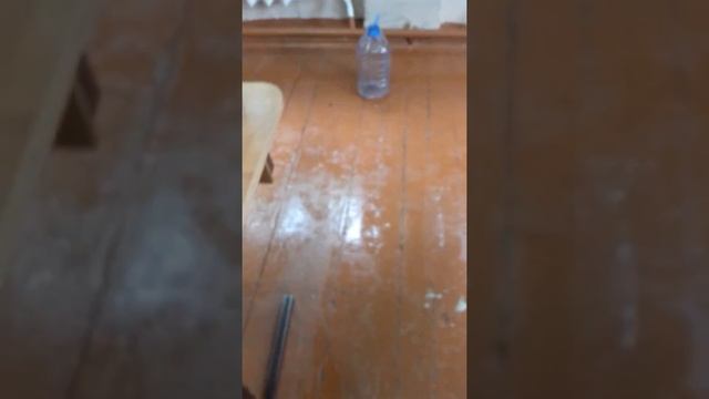 Мастер-класс "Как правильно мыть полы в школе?!" смотреть онлайн