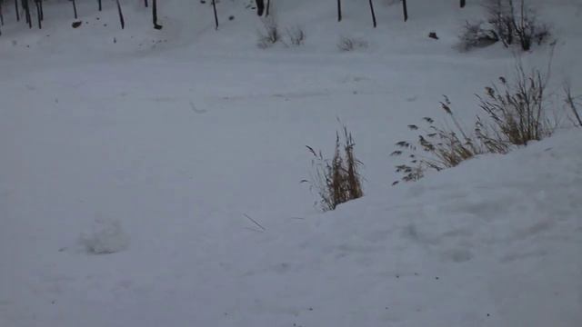 Комсомольское Озеро MVI 00341 смотреть онлайн