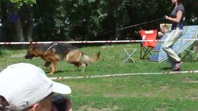 Уфа 01 06 2013 рабочие кобели 6 завершение ринга смотреть онлайн