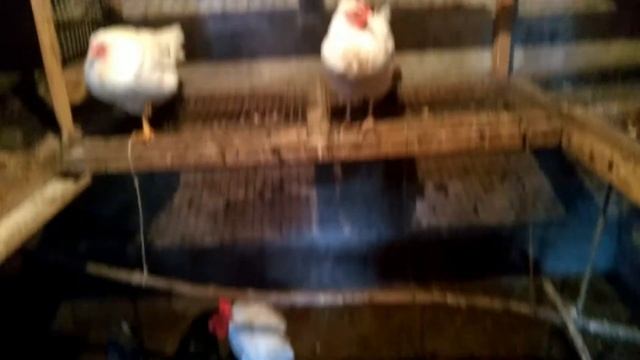 Весна в Горловке  25 марта/ Грибной суп/ Постное меню