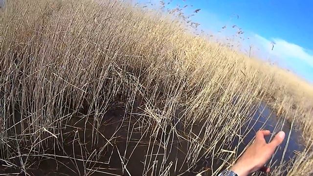 ловля карася в камышах весной смотреть онлайн