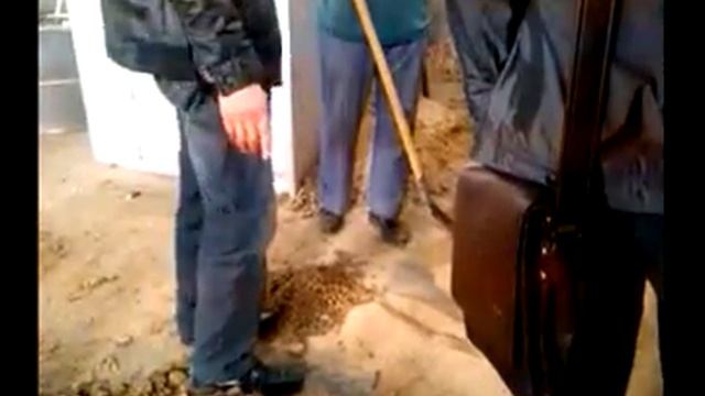 Оборудование для производства пеллет, топливных гранул. Пеллетайзер смотреть онлайн