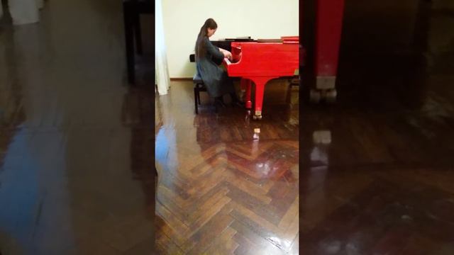 Гайдн Соната c-moll 1 часть. Исполняет Винникова Варвара 2 курс смотреть онлайн