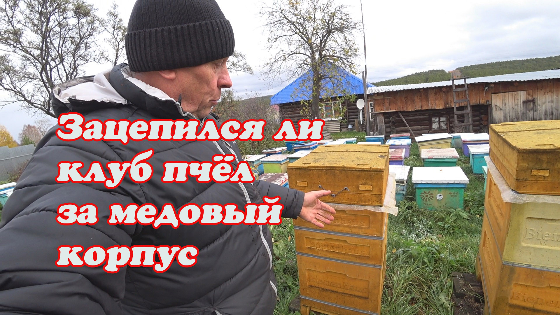 ПЧЕЛОВОД ОБРАТИ ВНИМАНИЕ НА ФОРМИРОВАНИЯ КЛУБА ПЧЁЛ В ЗИМУ И БУДЬ СПОКОЕН ДО ВЕСНЫ. смотреть онлайн