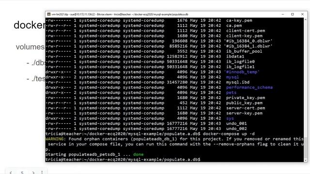 15 launch a database container with persistent data (~15min) смотреть онлайн