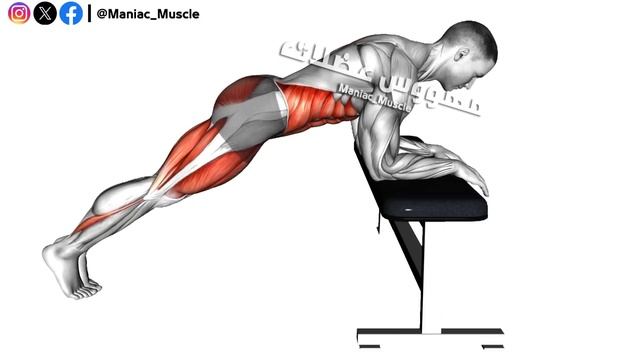 6 The Perfect Exercises For Lower Abs Workout