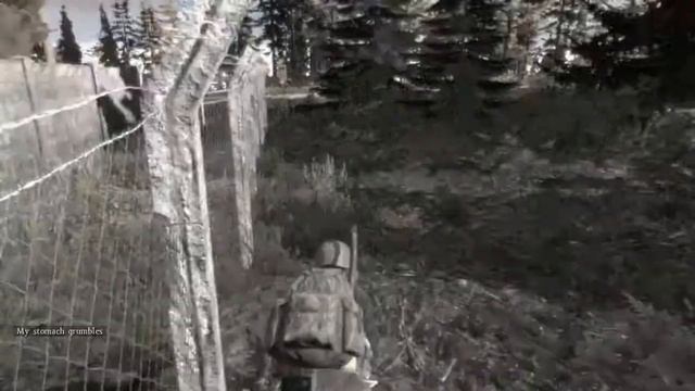 DayZ SA новые выпуски Серия №1 смотреть онлайн