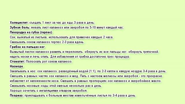 Каланхоэ в народной медицине. Рецепты сока каланхоэ смотреть онлайн