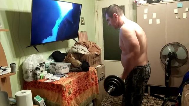 Подъем штанги на бицепс смотреть онлайн