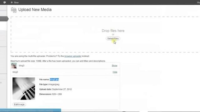 Onces Wordpress Theme | Creiden - Onces Shortcode Generator смотреть онлайн