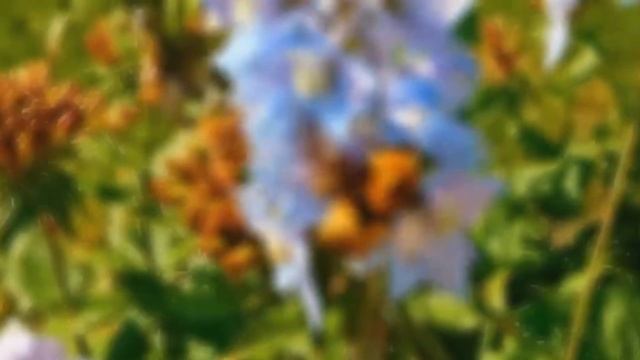 БЕЗУМНЫЕ КАДРЫ СНЯТЫЕ НА ТЕЛЕФОН! смотреть онлайн