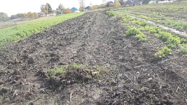 Севооборот на огорорде смотреть онлайн