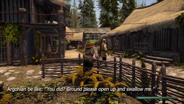 "Take a Peek" - New Stealth Mechanic (Skyrim Mod) смотреть онлайн