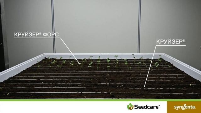 Сравнение продуктов КРУЙЗЕР® ФОРС-Технология и КРУЙЗЕР® смотреть онлайн