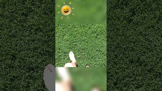 Босиком #лето #жара #дача #вдеревне #отпуск ﻿@Xopowo смотреть онлайн