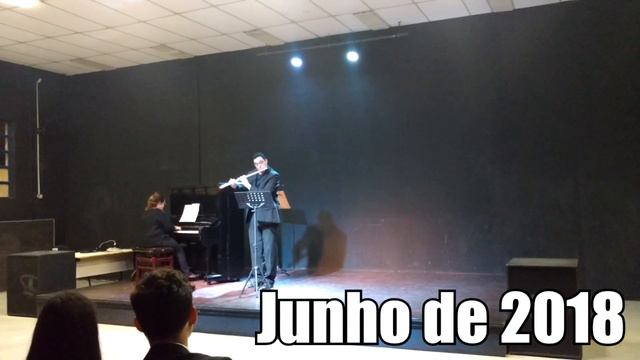 Meu Progresso na flauta em 4 anos смотреть онлайн