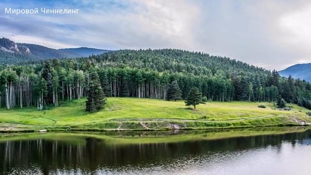 Многие ругают себя за негативные мысли. Но вы ли их создали? смотреть онлайн