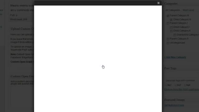 Integrating Facebook Open Graph Meta Tags in Wordpress with WPFacePages смотреть онлайн