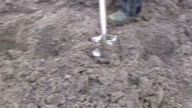 Посадка картошки на зиму смотреть онлайн