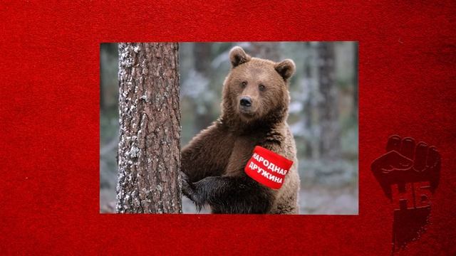 Кремль проболтался о своих планах... Засунут по самую шляпку! смотреть онлайн
