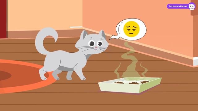 10 Proven Ways to Increase Your Cat’s Happiness смотреть онлайн