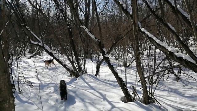 Импортозамещение смотреть онлайн