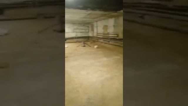 Ремонт коммерческого помещения смотреть онлайн