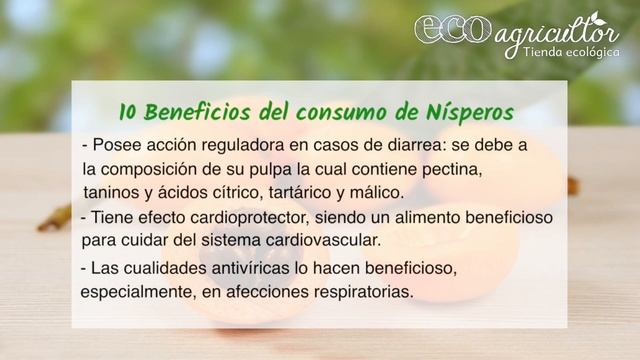 Propiedades de los NÍSPEROS. ¡Descubre para qué son buenos! смотреть онлайн