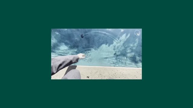 The Complete Facebook Ads Tutorial for BEGINNERS (AI, Meta Advantage+, Machine Algorithm & More!) смотреть онлайн