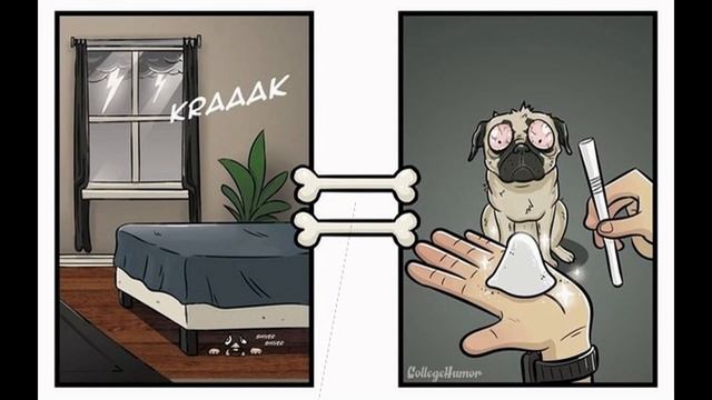 Мир глазами собак. смотреть онлайн