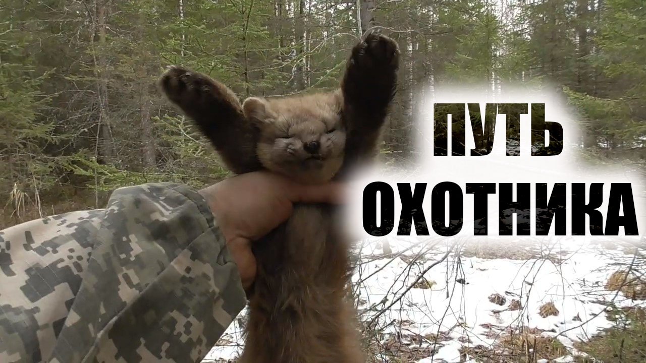 СИБИРСКИЙ ТАЕЖНЫЙ КОТ Охота на соболя новый сезон Проверка капканов смотреть онлайн