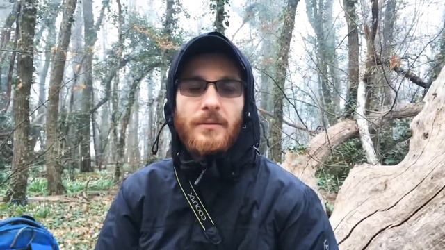 Медведь гора смотреть онлайн