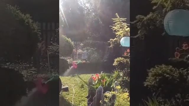 Когда всё бесит, но работать всё равно нужно. смотреть онлайн